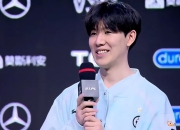 QYG-关于TheShy爆冷击败德国队，精彩发挥引爆全场！的信息